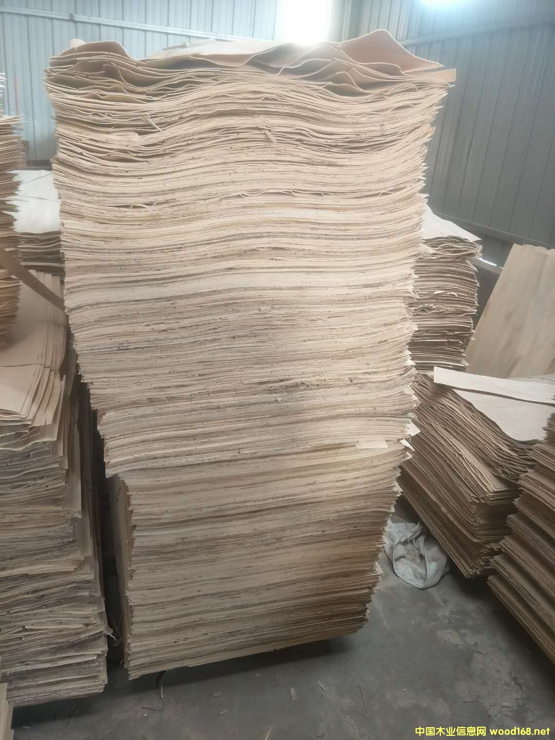 純白的詳細介紹