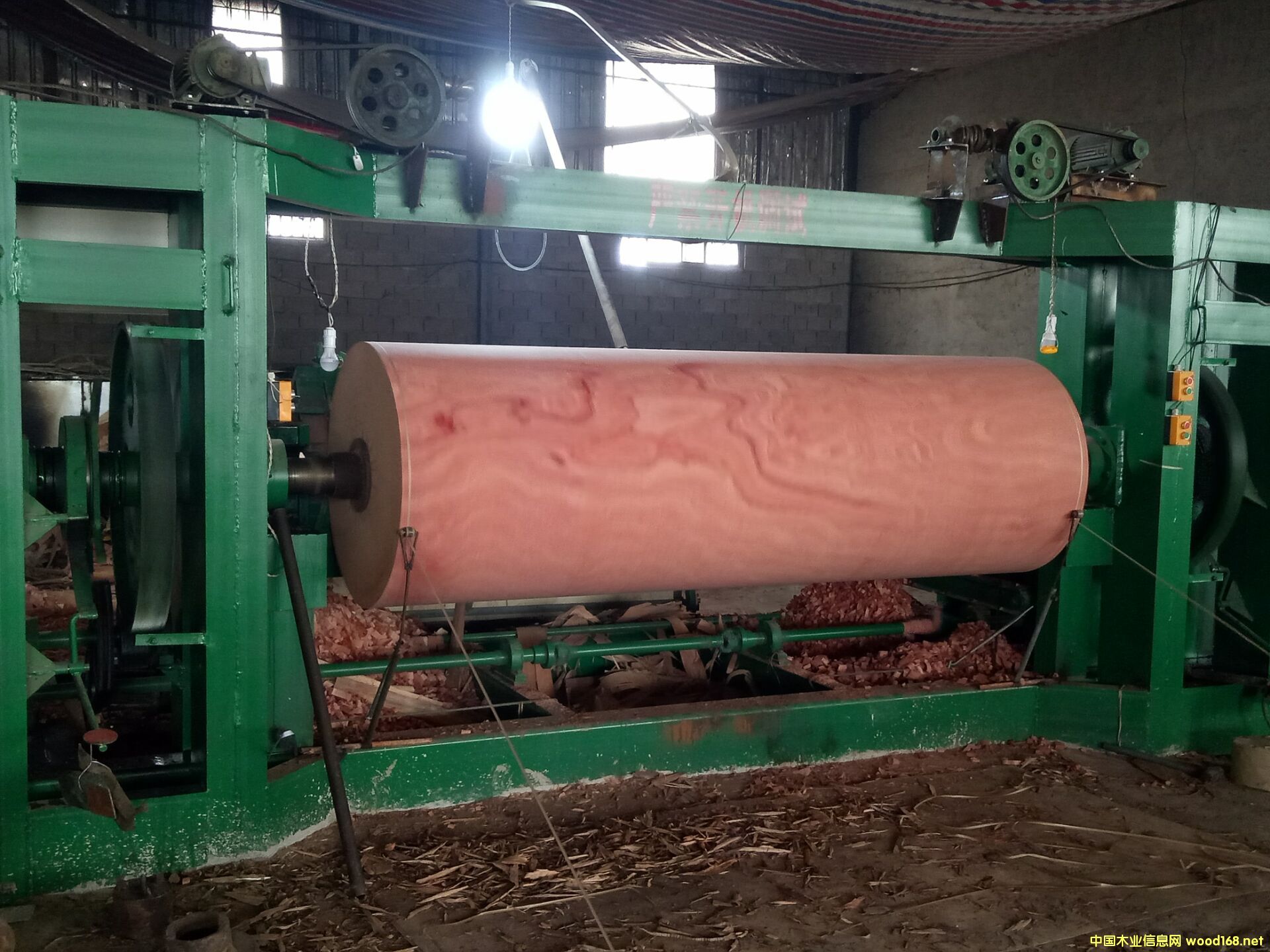 ɳ������Ƥ