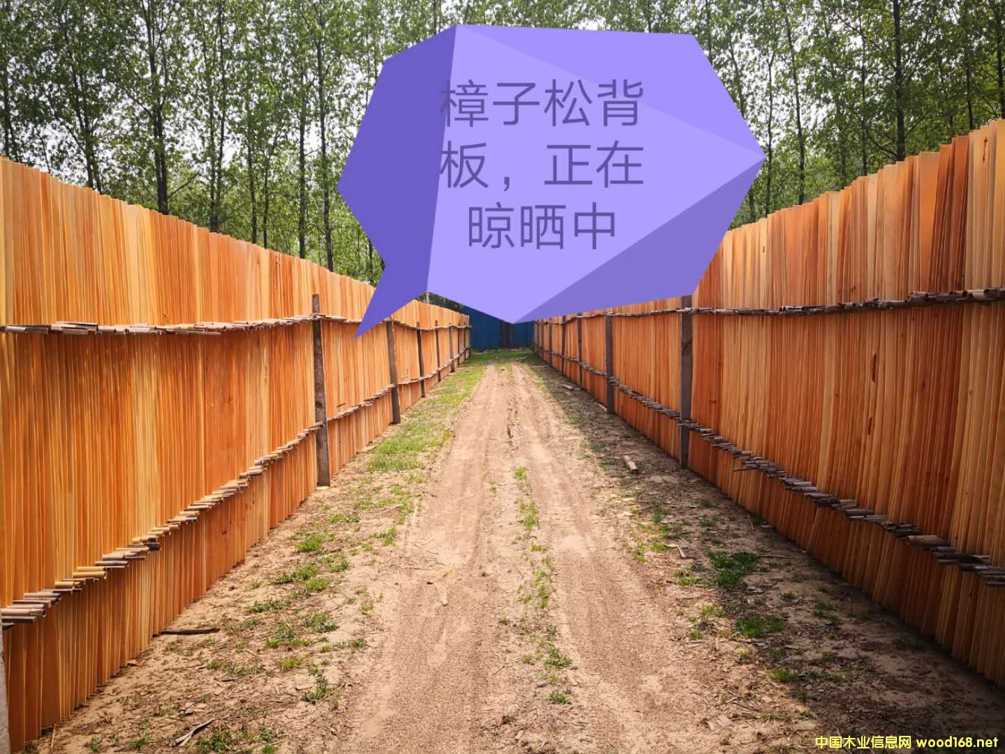  �����Ɇΰ�