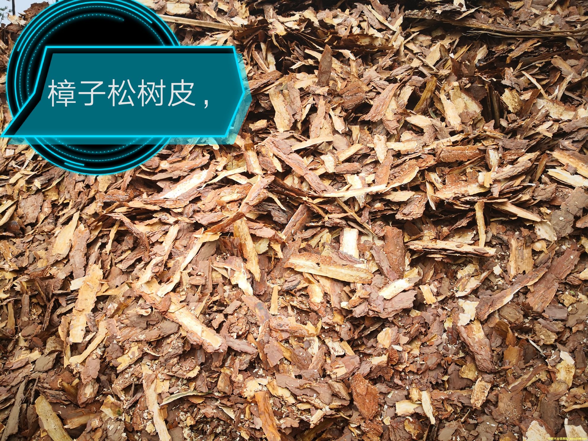 �����ɘ�(sh��)Ƥ