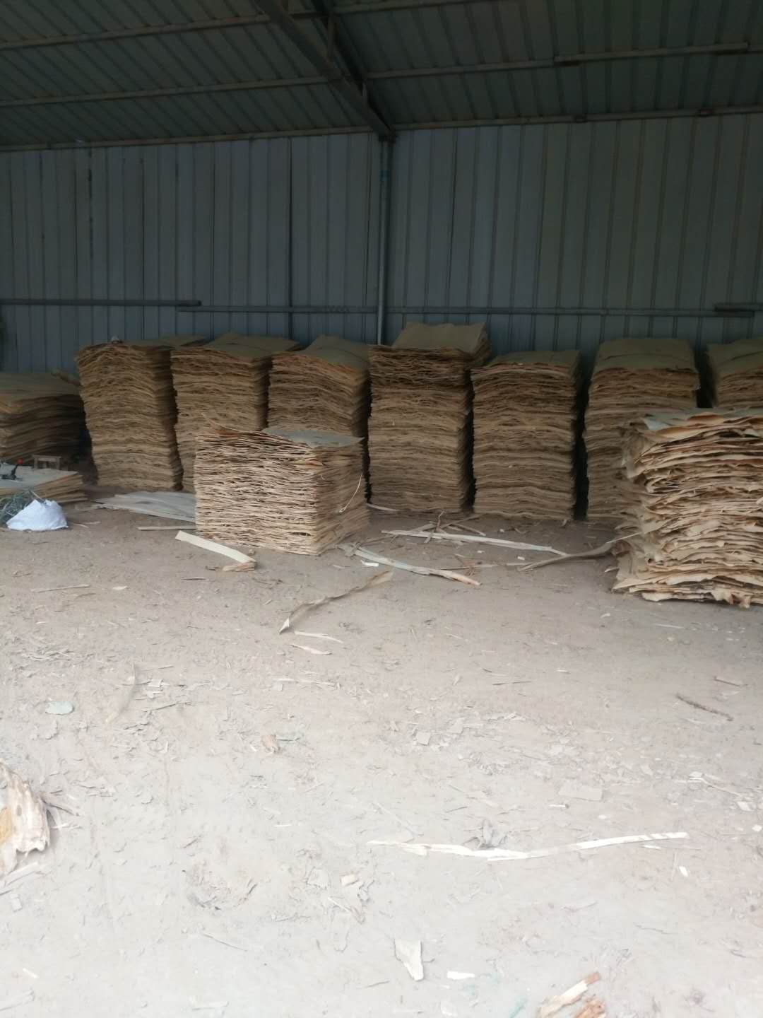 ��ľƤ�ӵ�Ԕ����B