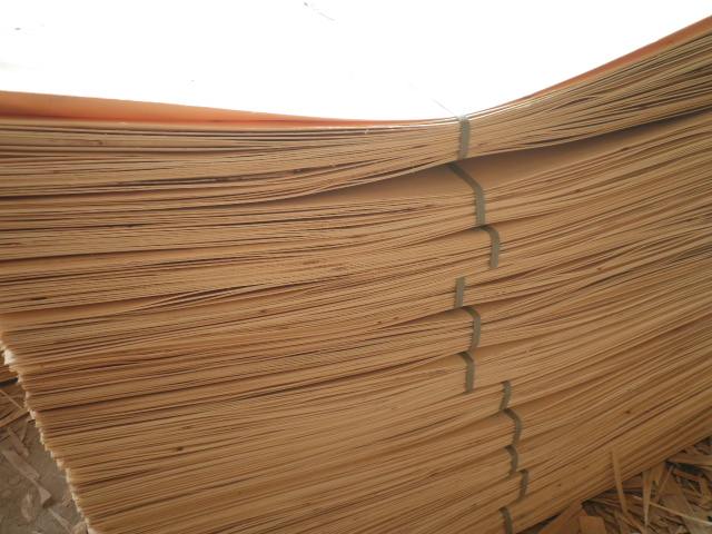 ��ľƤ�ӵ�Ԕ����B