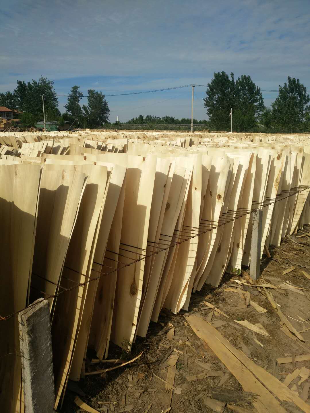 ��ľƤ�ӵ�Ԕ����B