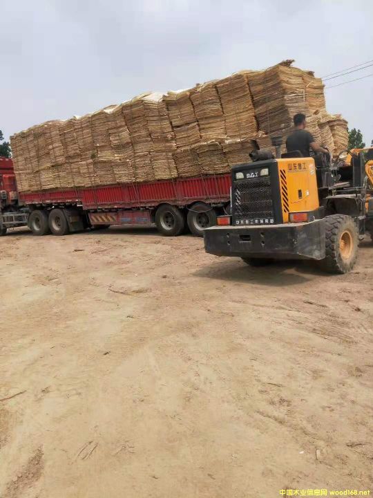 �S�h��ľ��ƴ��Ԕ��(x��)��B