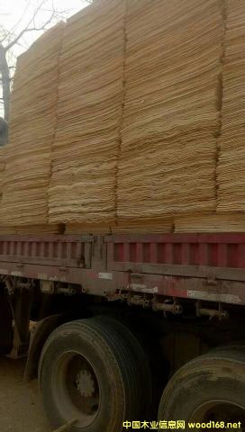 �S�h��ľ��ƴ��Ԕ��(x��)��B