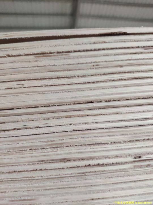  ��Ԕ����B