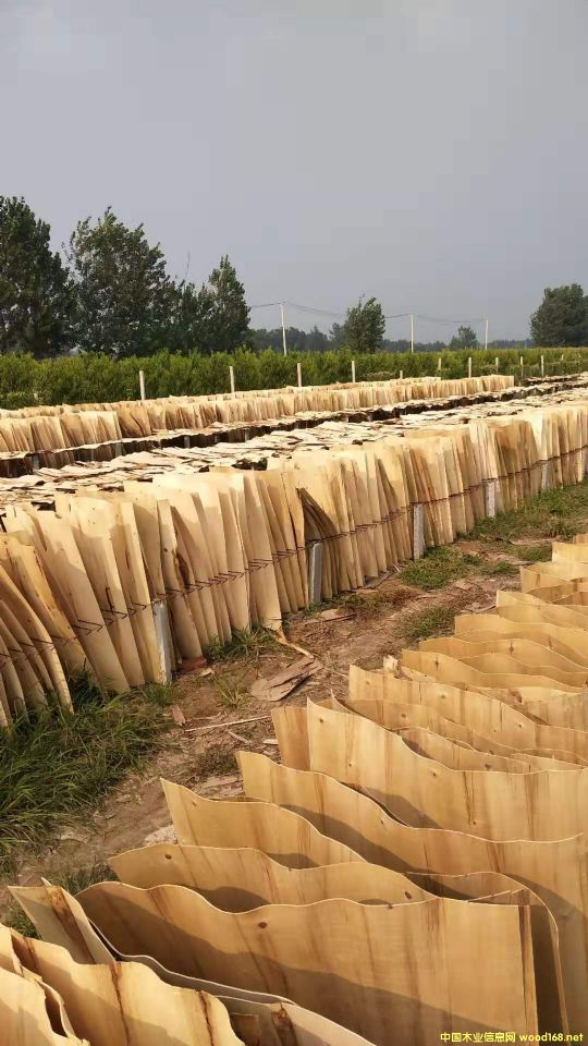  ��Ԕ����B