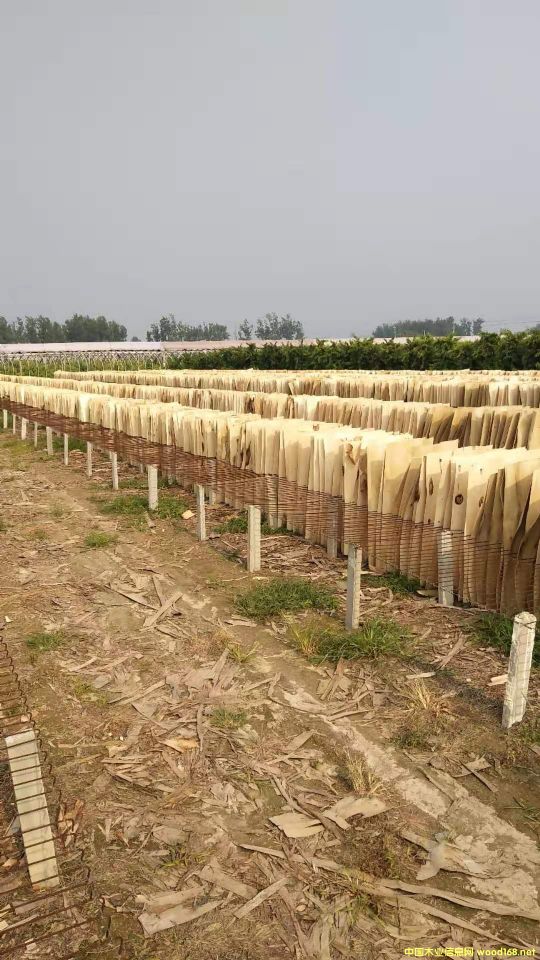  ��Ԕ����B