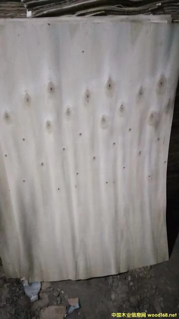  ��Ԕ����B