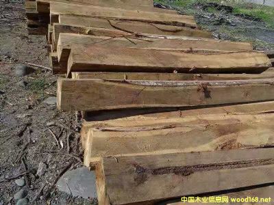 [��] �����M����˼ľԭľ�����~��˼ľ�ʣ�ACACIA