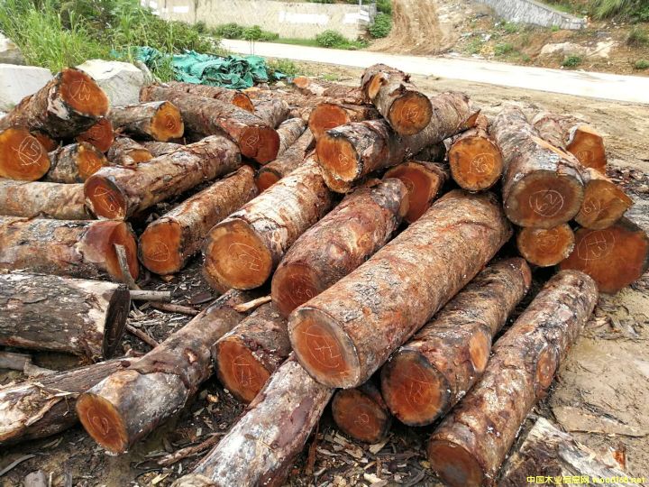 [��] ��������鬣�khaya),�����ľ���һ�оľ���һ���