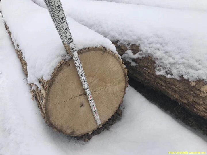 ��Ϟԭľ��Ԕ����B