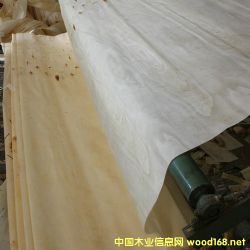 的詳細(xì)介紹