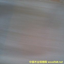 的詳細(xì)介紹