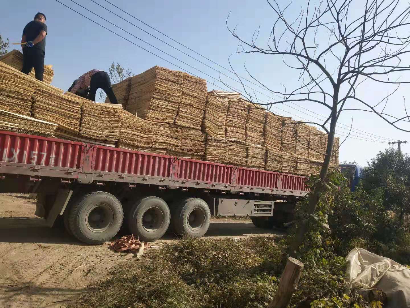  ��Ԕ��(x��)��B