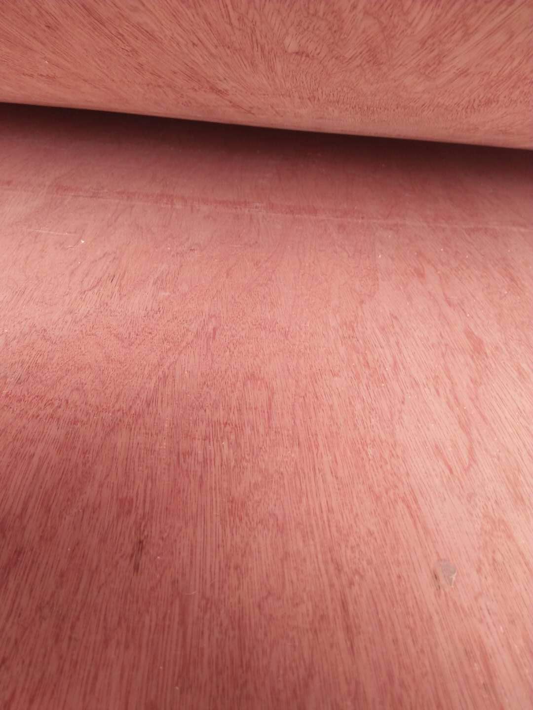  ��Ԕ����B