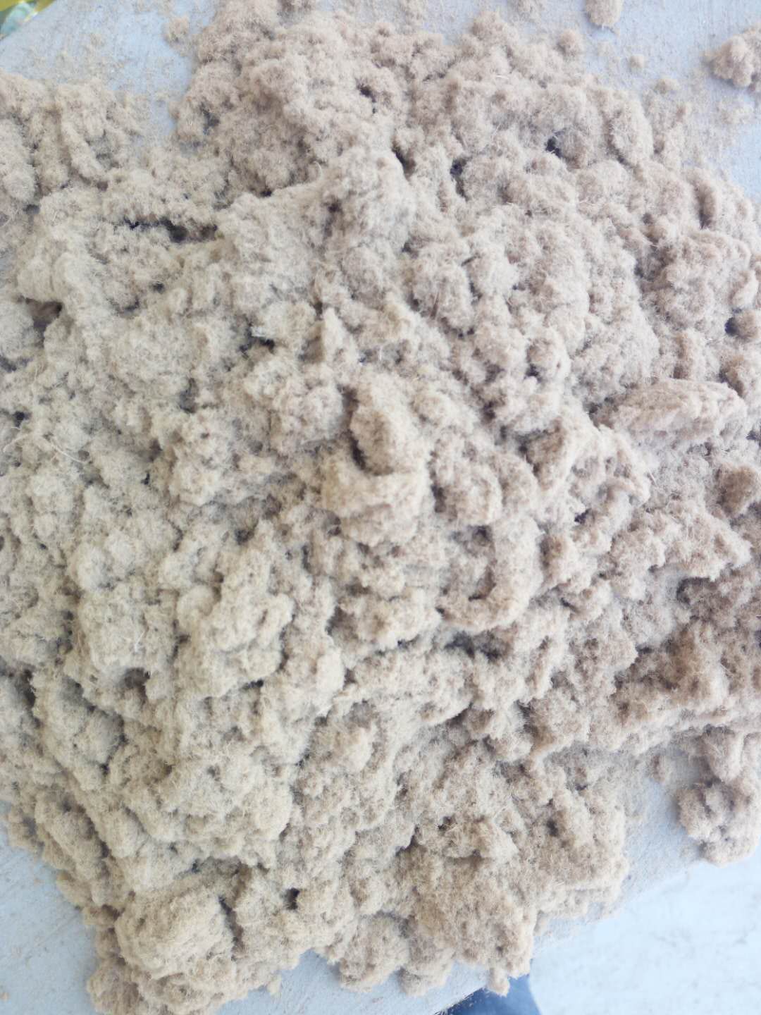 ����ľ��Ԕ����B