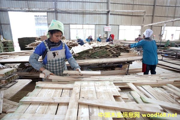 �Ž��hľ�����|����������ǭ�|����������|������ʾ���Ŀ