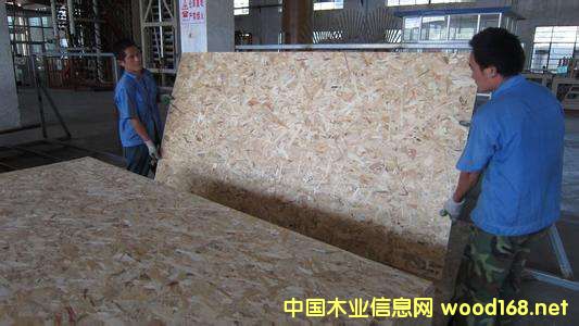 ������Ј��{(di��o)�Ј�棺�ٻ��������S���ƼҾ߿������L OSB�@�l(f��)