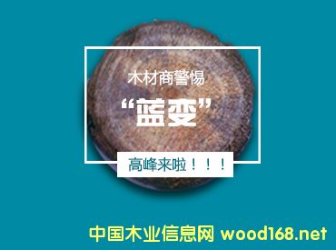 ���裡ľ��ԭ���ό��M���{׃�߷���