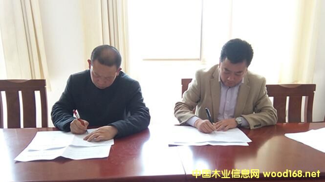 ɽ�|����ľ�I(y��)�����mɽ��ʢľ�I(y��)�����ƽ�ؿh�߶�ľ�I(y��)�a(ch��n)�I(y��)�@