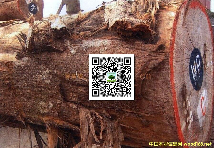 ľ�İٿƣ��S�O�ţ����ȸľ���S�u�ᡢ�ٽzľ��