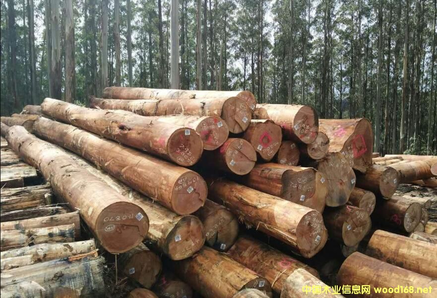 ̫�}(c��ng)�۰���M(j��n)����څ��(w��n) �M(j��n)�ڰĴ�����ԭľ�q���_(d��)��������λ