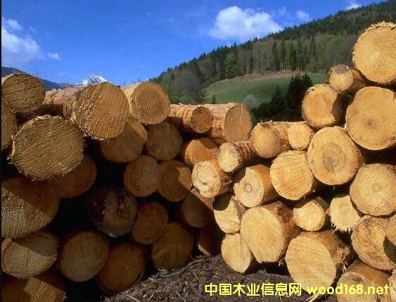 �����mľ�ĳ�����δ��5�ꌢ��������