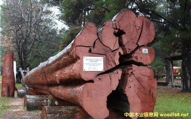 ľ�İٿƣ��Z��ľ���������׷Q����Ѫ̴