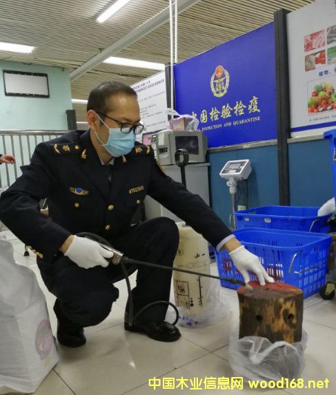 �����_���ڰ����������ľ�^��������̴ԭľ