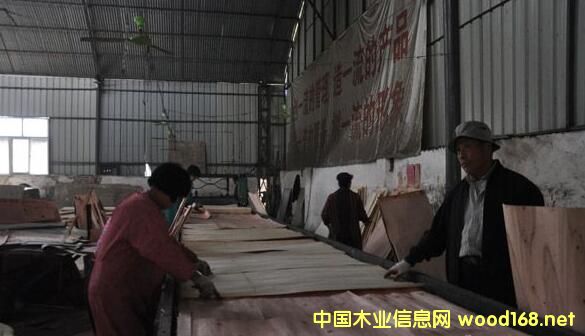 ��ƽ�h121��ľ�ďS�@��5000���fԪ���Y�����