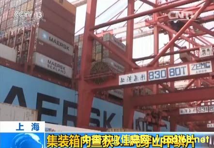 �x��ľ������ĳ��˽�M��3.1����ɽ���[Ƭ������