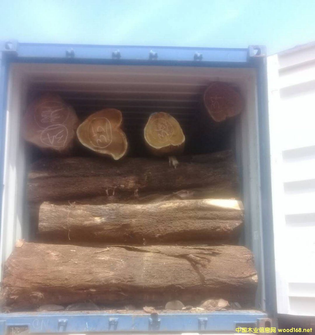 ���ڴ��~��˼ԭľ��Ԕ����B