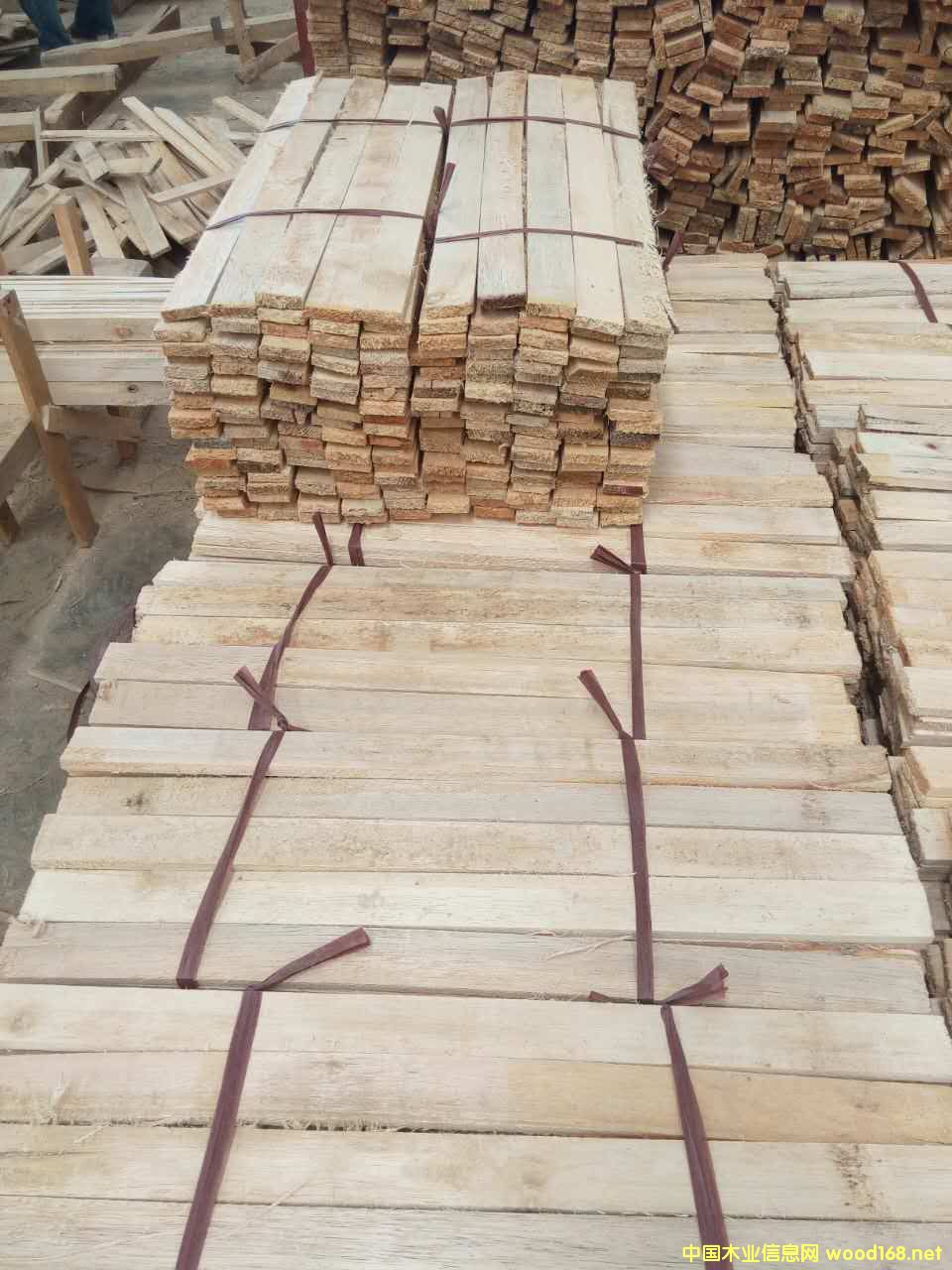 �R���װ�l��Ԕ����B