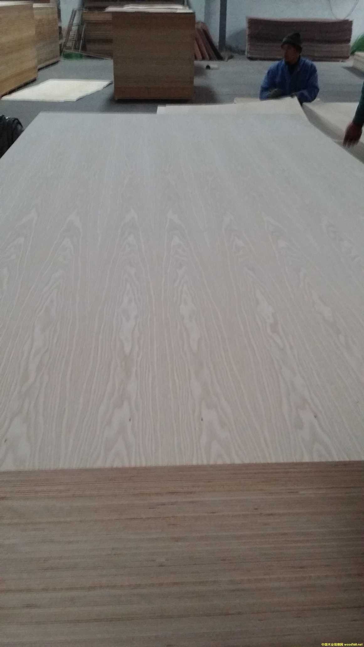 ����ľ�z�ϰ�