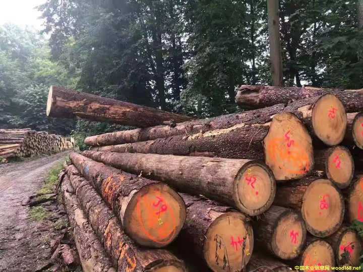 ����ɼ��Ԕ����B