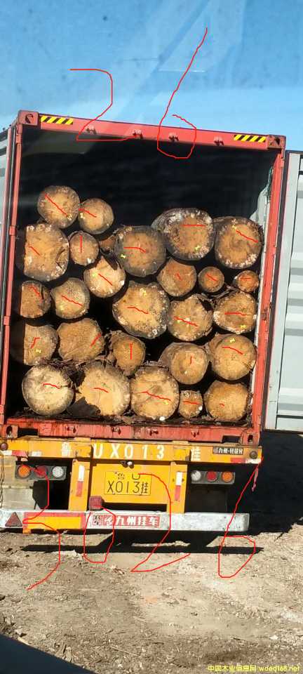 �ݿ���ɼԭľ��؛��Ԕ��(x��)��B