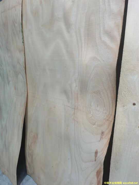  �M(j��n)�����zľ���Іΰ�