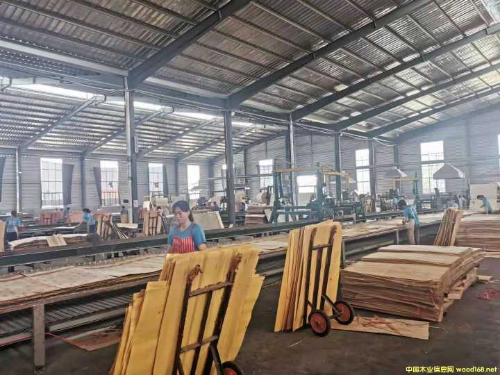  ��Ԕ����B