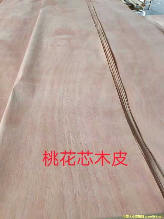  ��Ԕ��(x��)��B