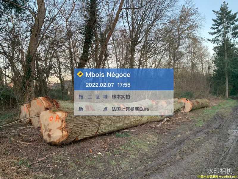 �c���鿴�W�ް���Ŵ�DƬ