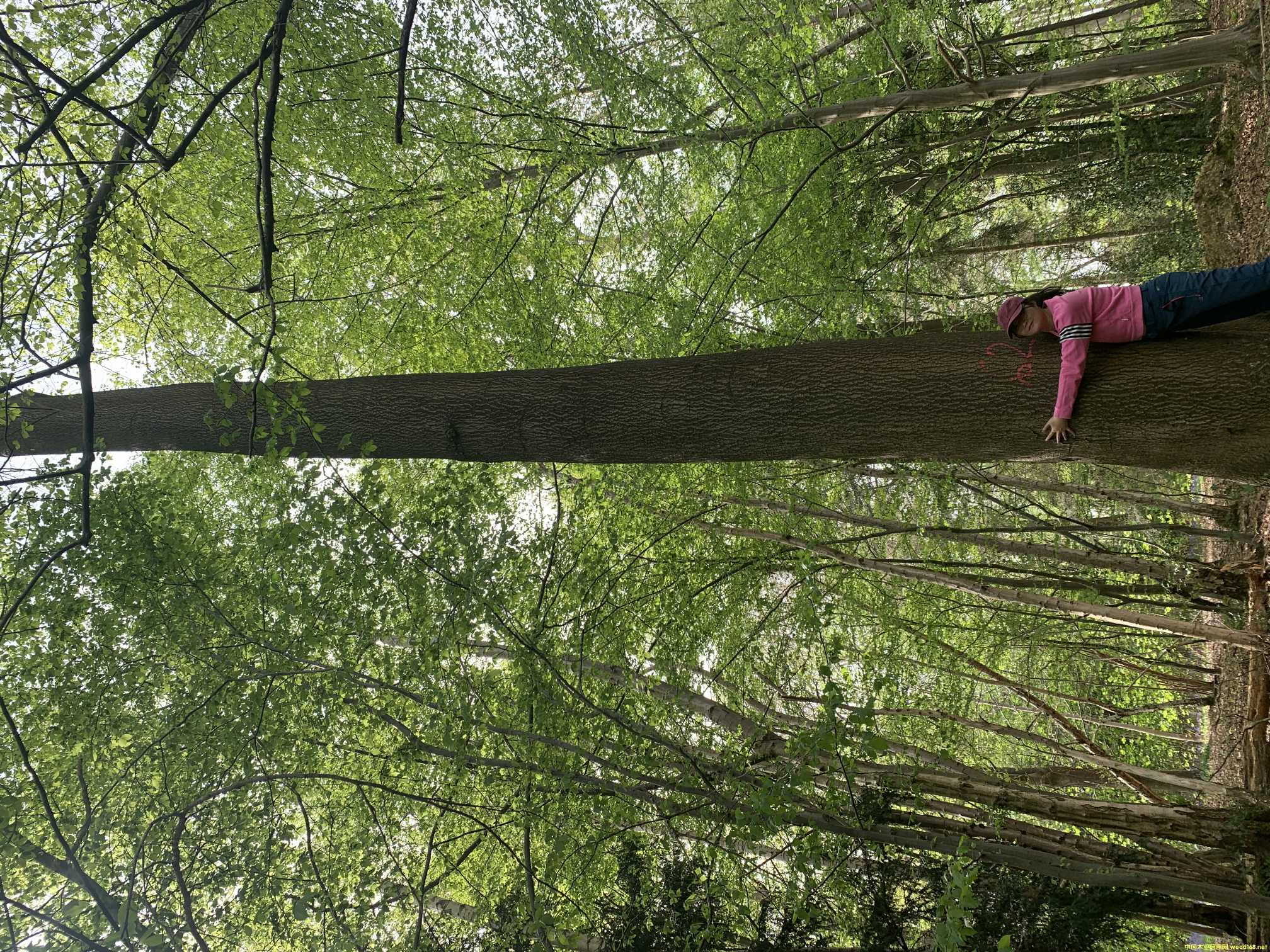 �c���鿴�W�ް���Ŵ�DƬ