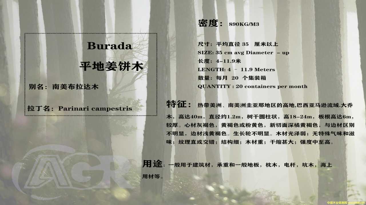 ƽ�ؽ��?z��i)���Ԕ�?x��)��B