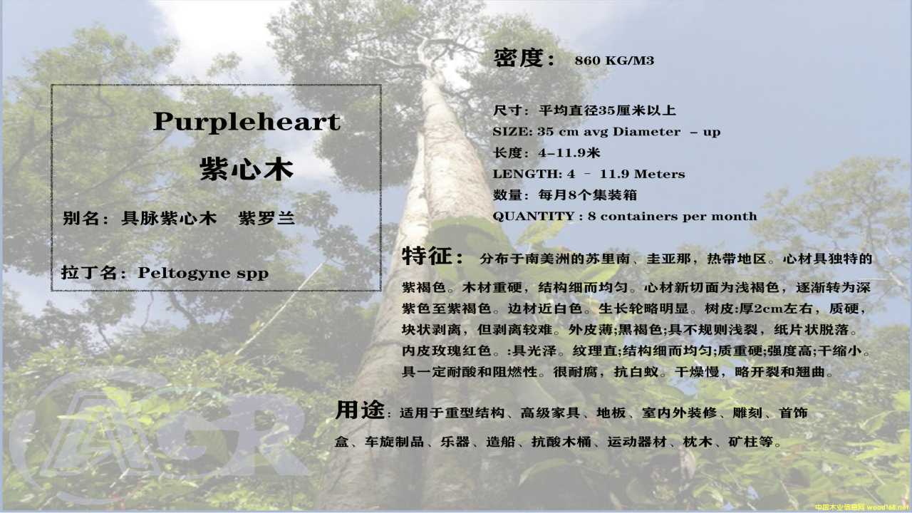 ����ľ��Ԕ��(x��)��B