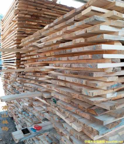 ����ľ��ľ�l ��ľ��� �����^���ߵ� ���� ¶�����_���ʹ��