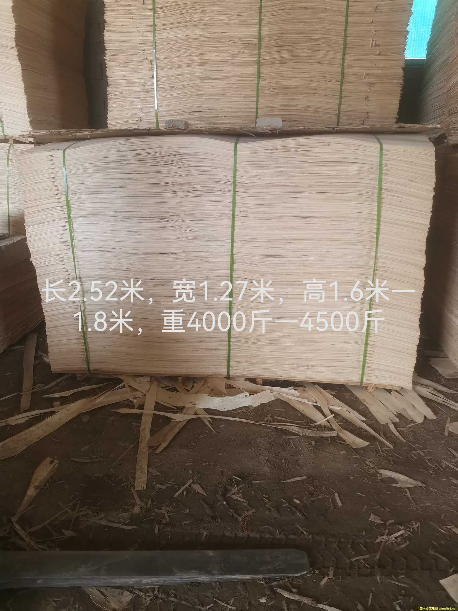 �ؼ�����