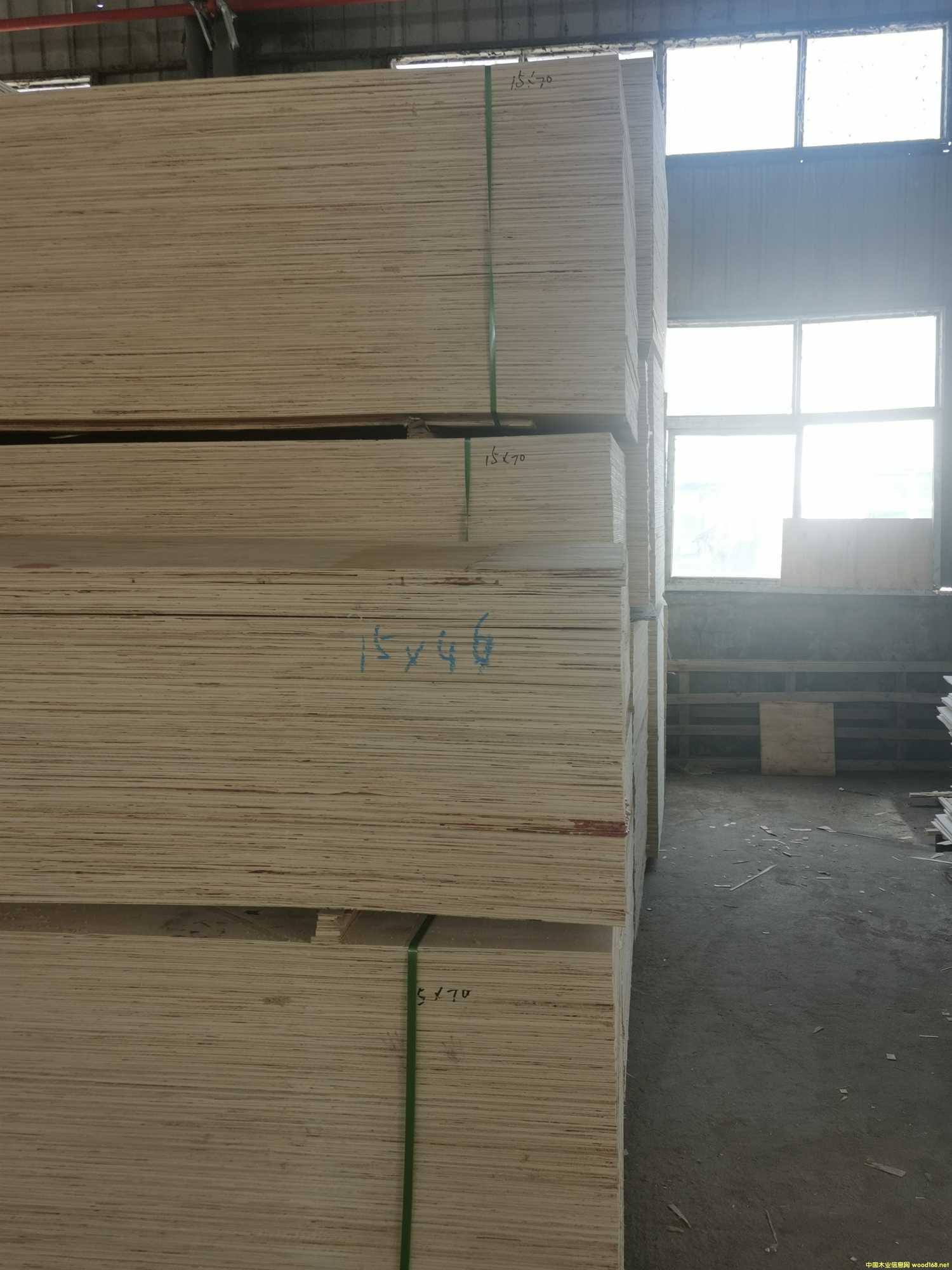 CARBP2��E1��E2 ��ľʮ����� ɳ�l(f��)�� �ɶ���