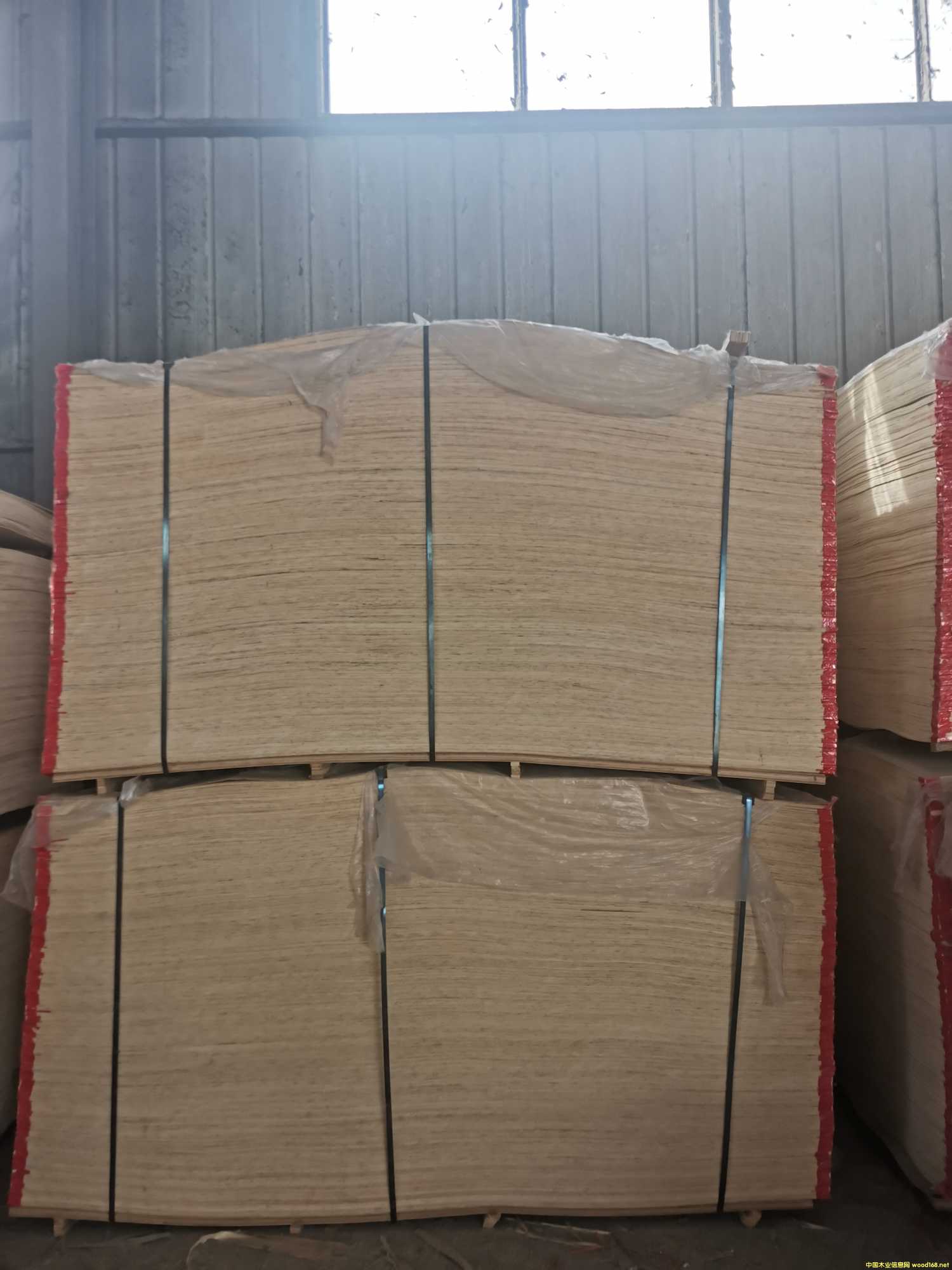 CARBP2��E1��E2 ��ľ ����� ɳ�l��