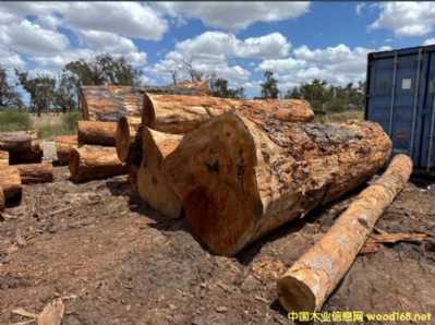 ���~�t���Ԕ����B