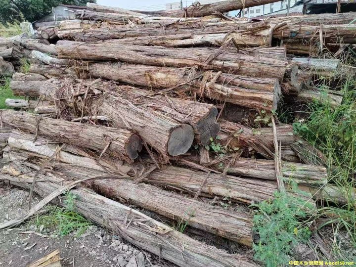 ������֦��Ԕ����B